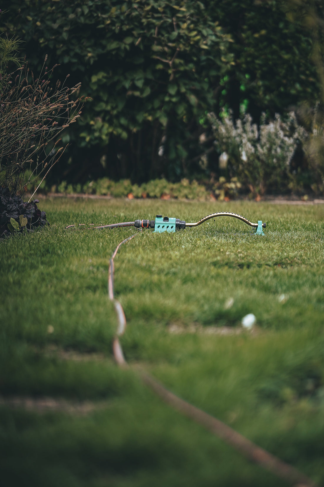 Nya Jordnära Mossa gör gräset starkare