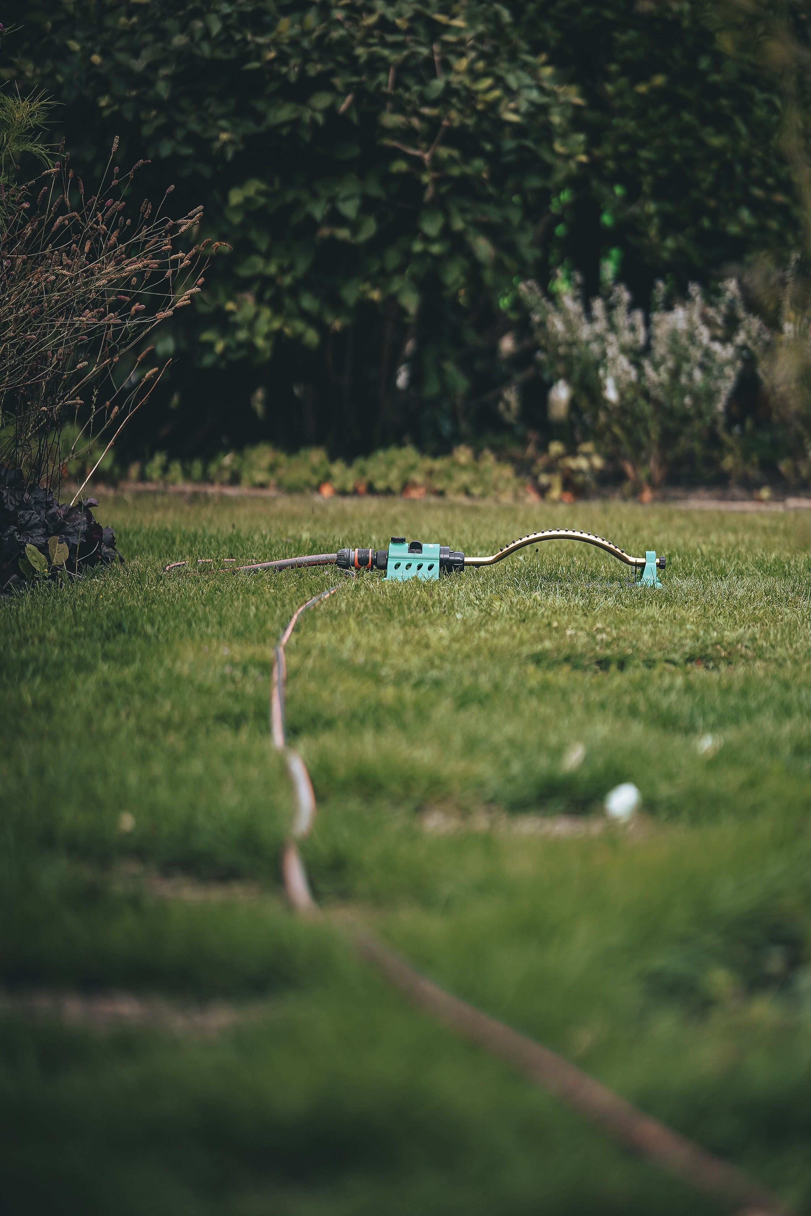 Nya Jordnära Mossa gör gräset starkare