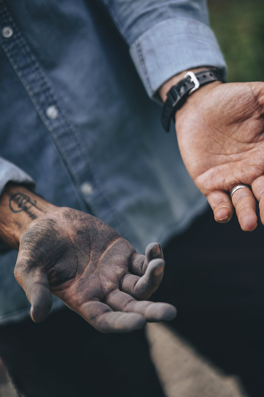 Biokol – hjälte i trädgården och för klimatet!