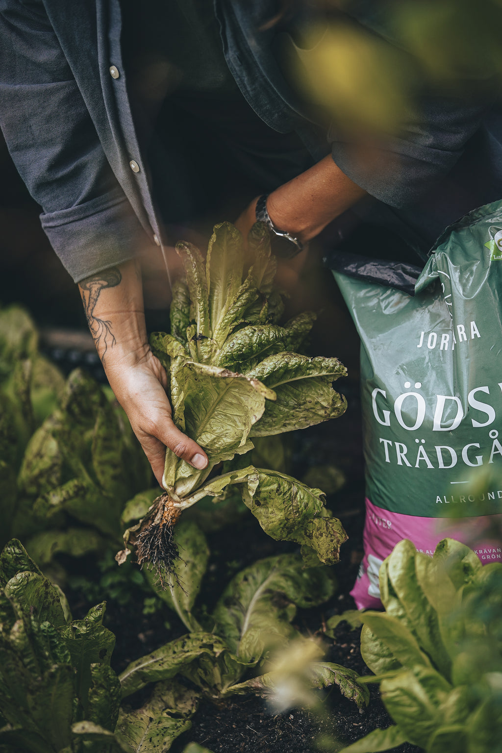 Trädgård 2,5 liter & 9 liter