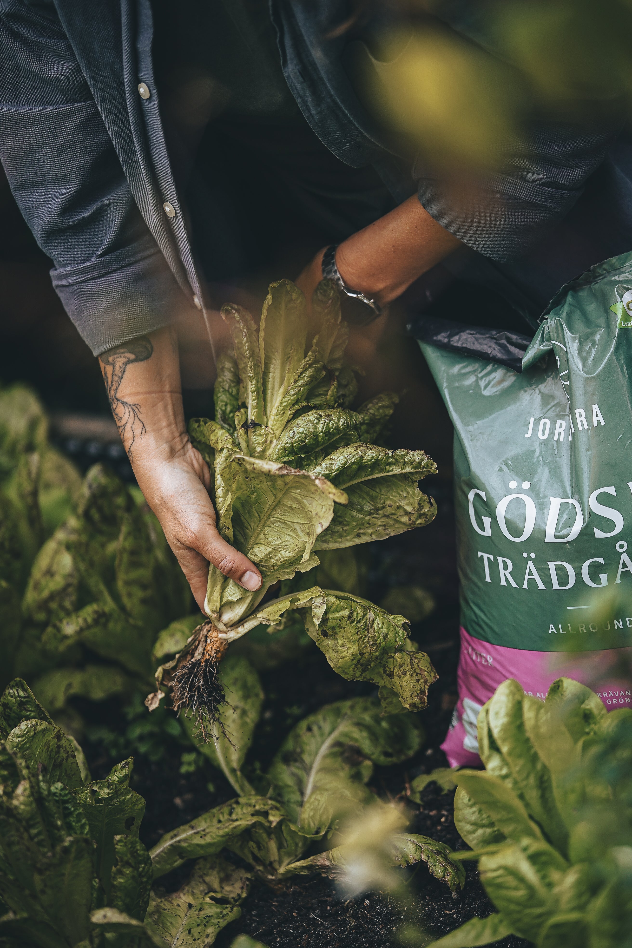 Trädgård 2,5 liter & 9 liter