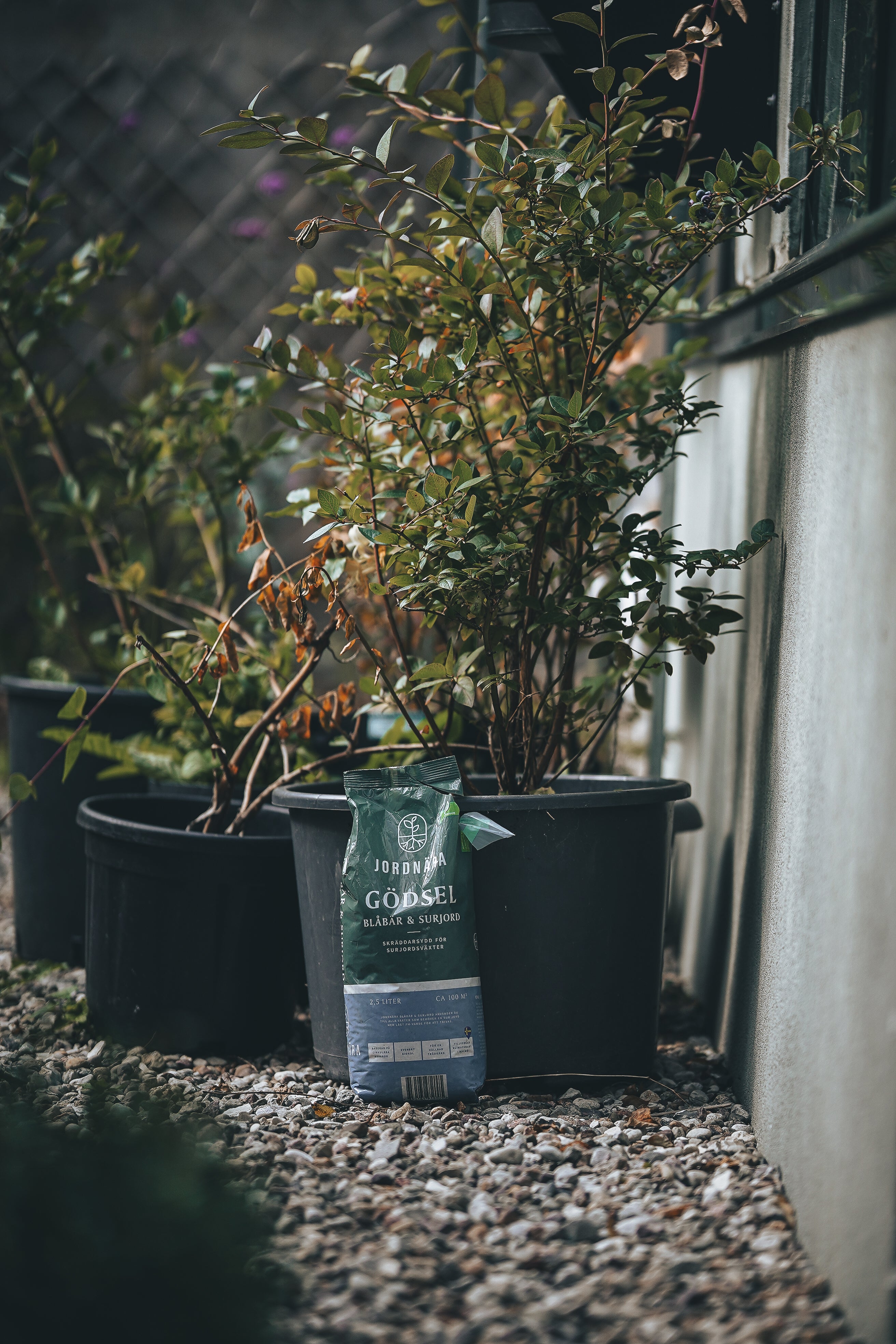 Blåbär & Surjord 2,5 liter